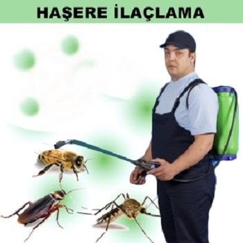 Altınova Böcek İlaçlama